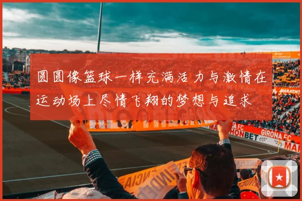 圆圆像篮球一样充满活力与激情在运动场上尽情飞翔的梦想与追求