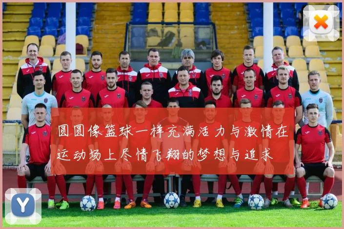 圆圆像篮球一样充满活力与激情在运动场上尽情飞翔的梦想与追求