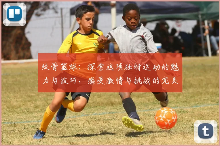 绞骨篮球：探索这项独特运动的魅力与技巧，感受激情与挑战的完美结合