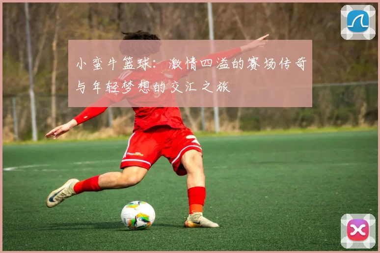 小蛮牛篮球：激情四溢的赛场传奇与年轻梦想的交汇之旅