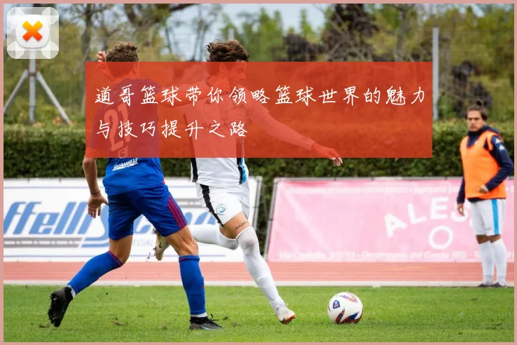 道哥篮球带你领略篮球世界的魅力与技巧提升之路